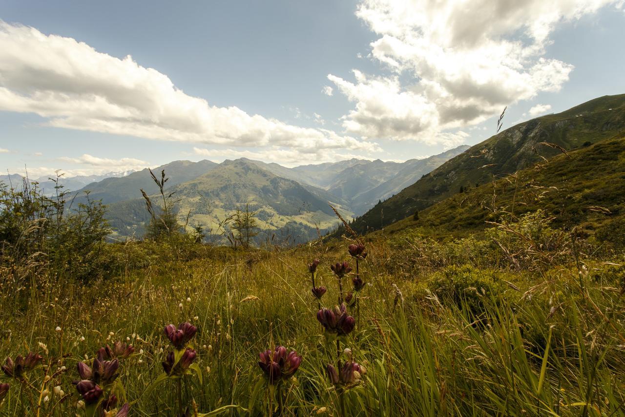 Apart Sprenger Fugen Im Zillertal Apartment Luaran gambar