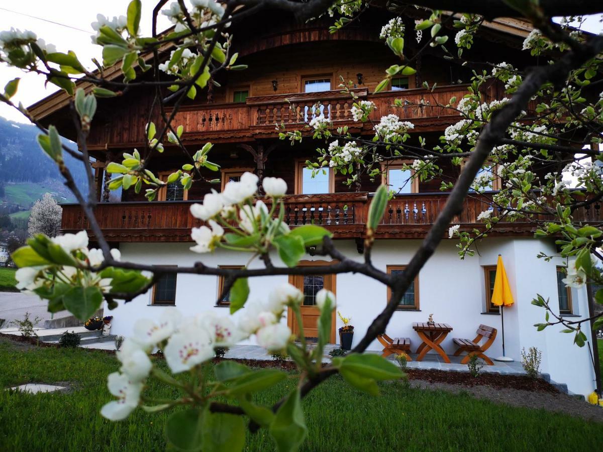 Apart Sprenger Fugen Im Zillertal Apartment Luaran gambar